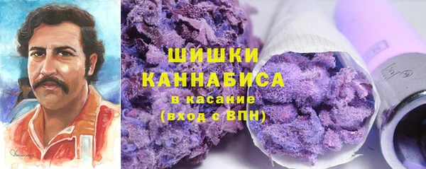 apvp Надым