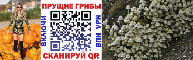 Псилоцибиновые грибы Magic Shrooms  Керчь 