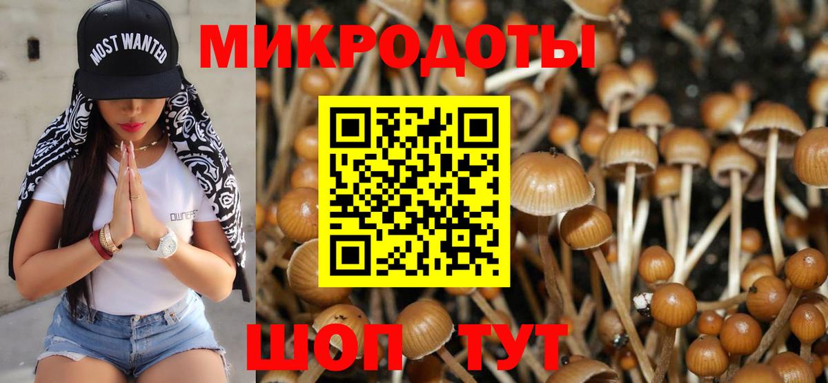 Галлюциногенные грибы прущие грибы  Псилоцибиновые грибы Psilocybine cubensis  Керчь  Вход с VPN 