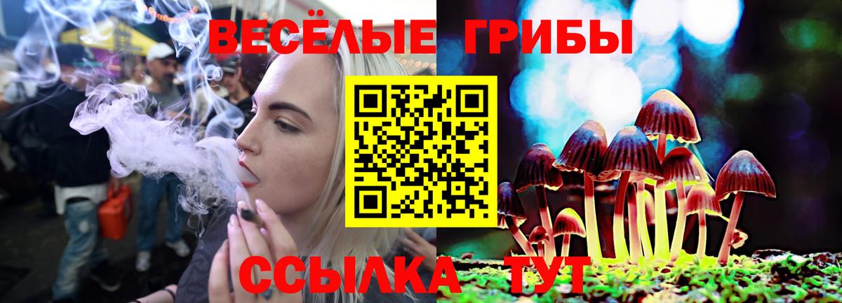 Псилоцибиновые грибы мухоморы  купить закладку  Керчь 