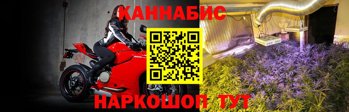 Каннабис Bruce Banner  Вход с VPN  Марихуана сатива  Керчь 